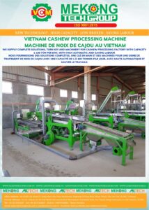 Automatic Small cashew processing plant
