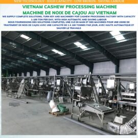 Automatic cashew shelling line new model mekong-2022 big capacity