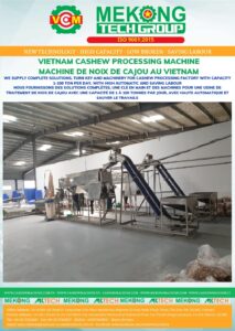 Automatic cashew peeling machine