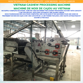 Automatic cashew cutting machine