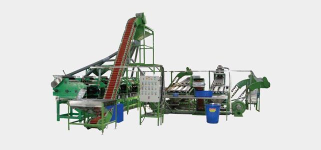 Automatic Cashew Shelling Line