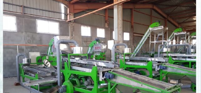 Automatic Small cashew processing plant
