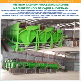 Raw Cashew nut Sizes Sorting Machine big new model 2022