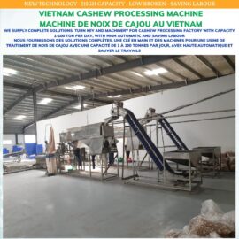 Automatic cashew peeling machine