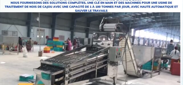 Whole Cashew kernel grading machine