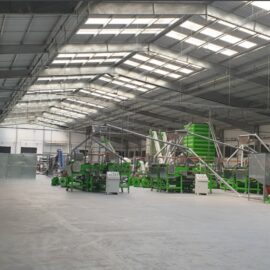 Automatic cashew processing plant 100 TPD