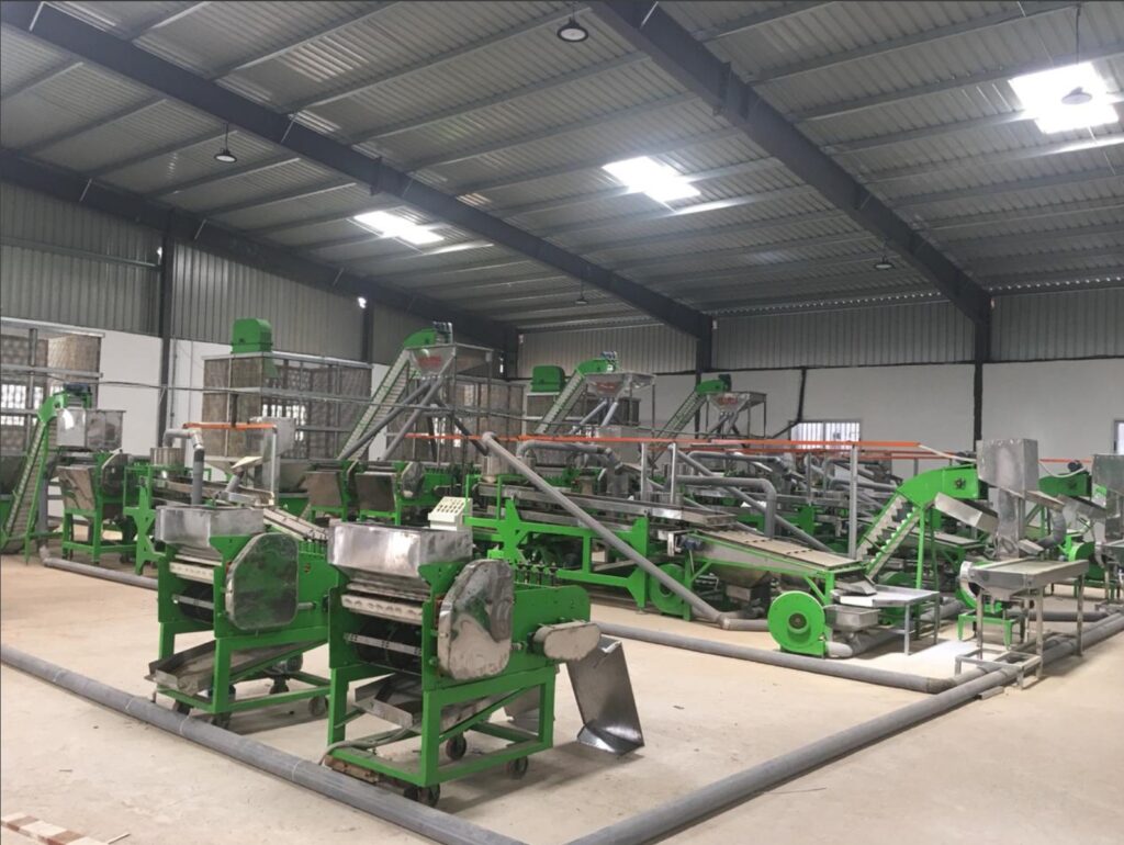 automatic cashew processing plant 20 tpd