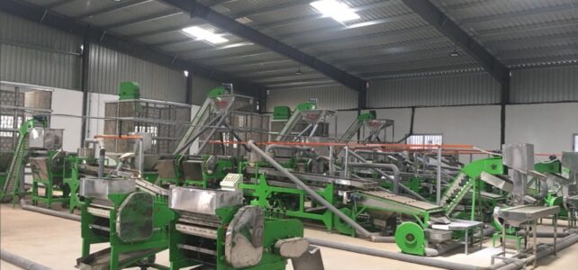 automatic cashew processing plant 20 tpd