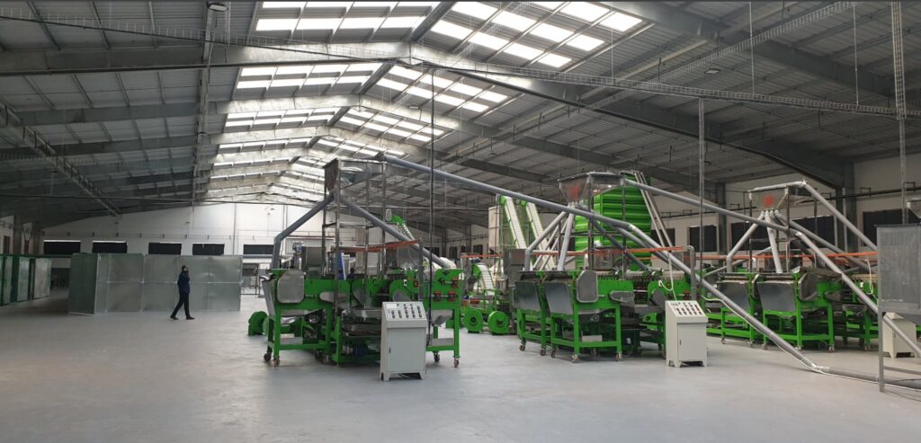 Automatic cashew processing plant 25 TPD