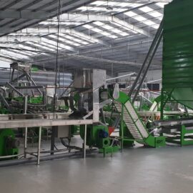 Automatic cashew processing plant 30 TPD