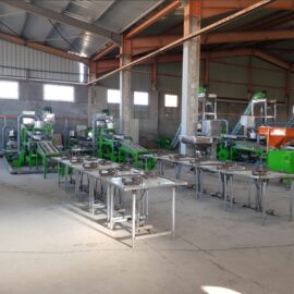 automatic cashew processing plant 3tpd