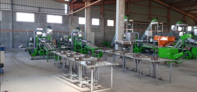 automatic cashew processing plant 3tpd