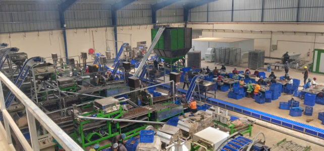 Cashew Processing Machinery Project in Ivory Coast