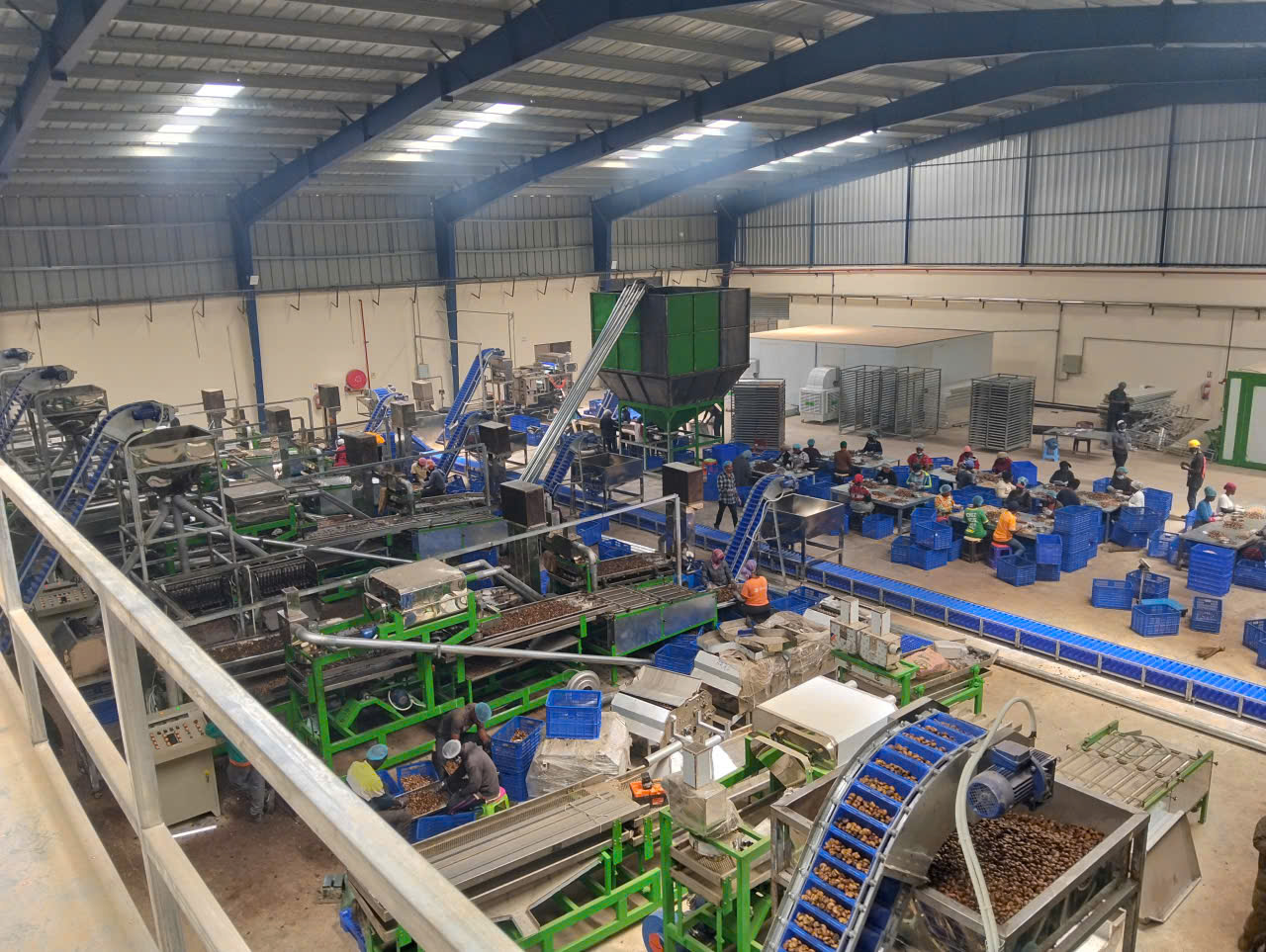 Cashew processing machinery installed by Mekong-Vietnam Cashew Machine in Ivory Coast.