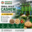 Small Scale Automatic Cashew Processing Plant (4–10 Tons/Day) | Complete Turnkey Solution