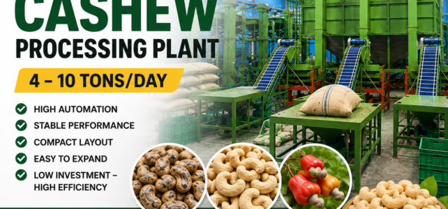 Small Scale Cashew Processing Plant