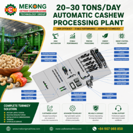 Medium Scale Cashew Processing Plant (20–30 Tons/Day) | MEKONG Medium Scale Cashew Processing Plant