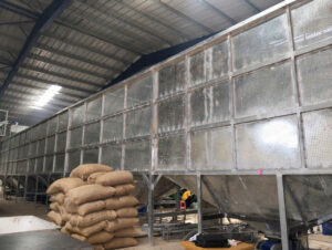 Medium Scale Cashew Processing Plant Layout 20–30 Tons/Day
