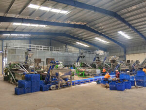 Medium Scale Cashew Processing Plant Layout 20–30 Tons/Day